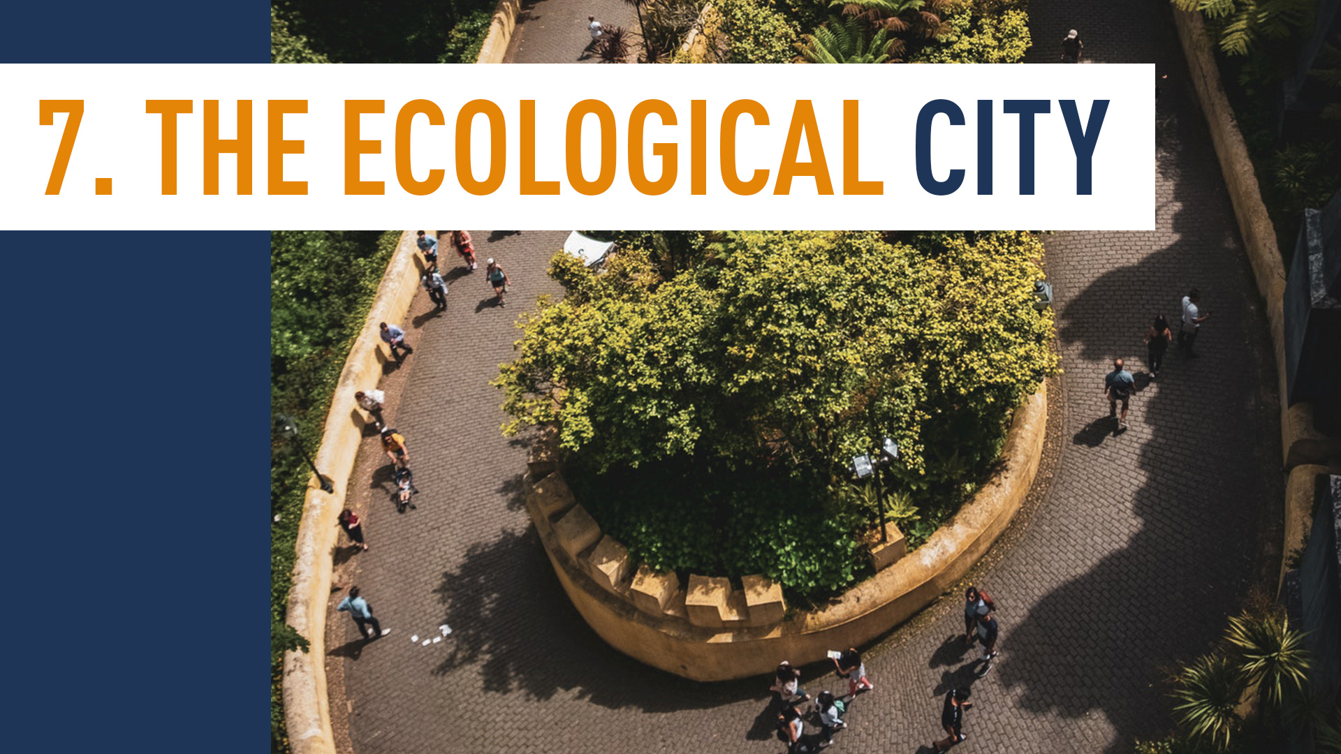 THE ECOLOGICAL CITY