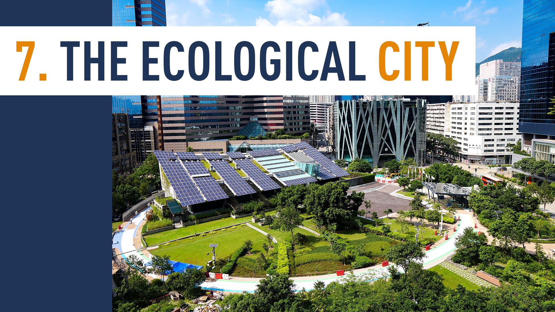 THE ECOLOGICAL CITY