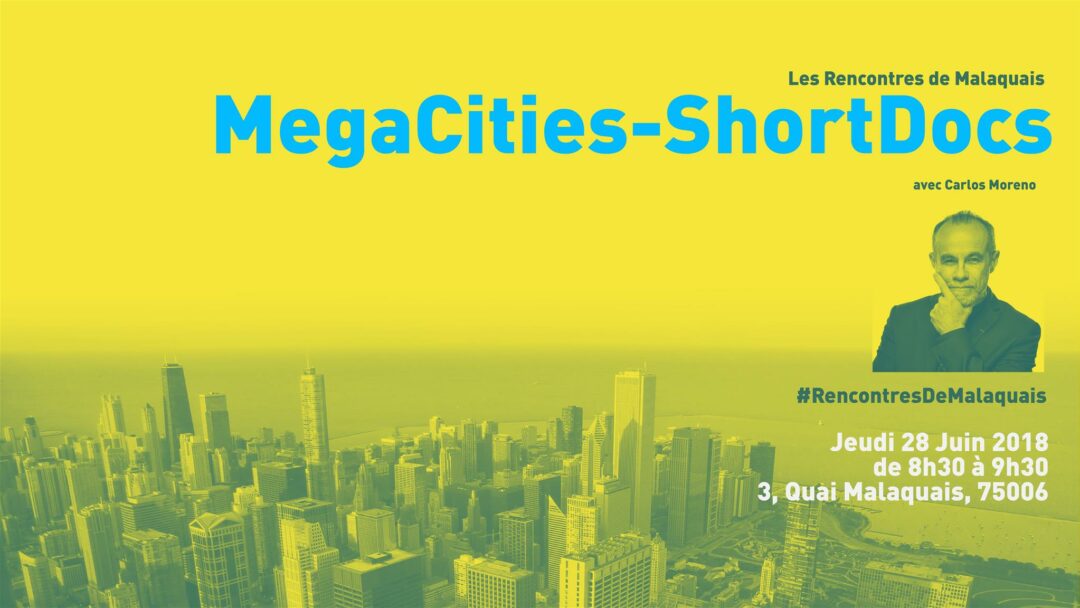 megacities_Plan-de-travail-1